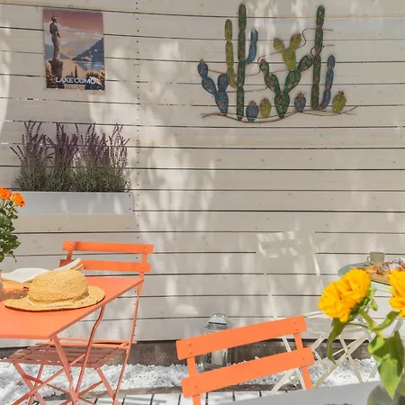 Apartment Dreams - Serendipity *